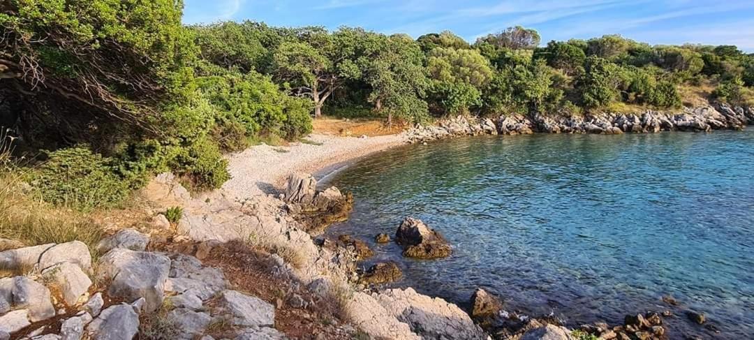 Borovići Kuca Za Odmor Denona 아파트 외부 사진